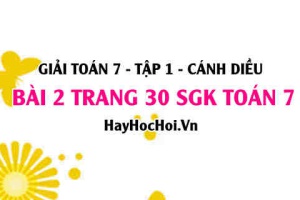 Giải bài 2 trang 30 Toán 7 Tập 1 SGK Cánh Diều